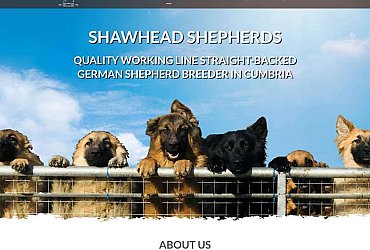 Portfolio/shawhead/best-carlisle-web-design-agency-thumb_1597507113.jpg