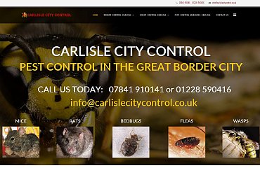 Portfolio/CarlisleCityControl/website-design-company-in-carlisle_1483125303.jpg