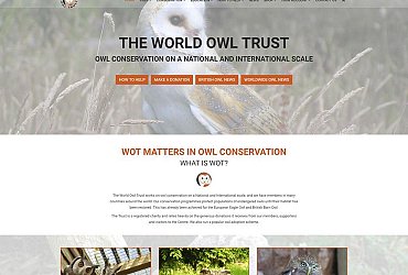 Portfolio/WOT/website-design-for-charity-thumb_1524416897.jpg