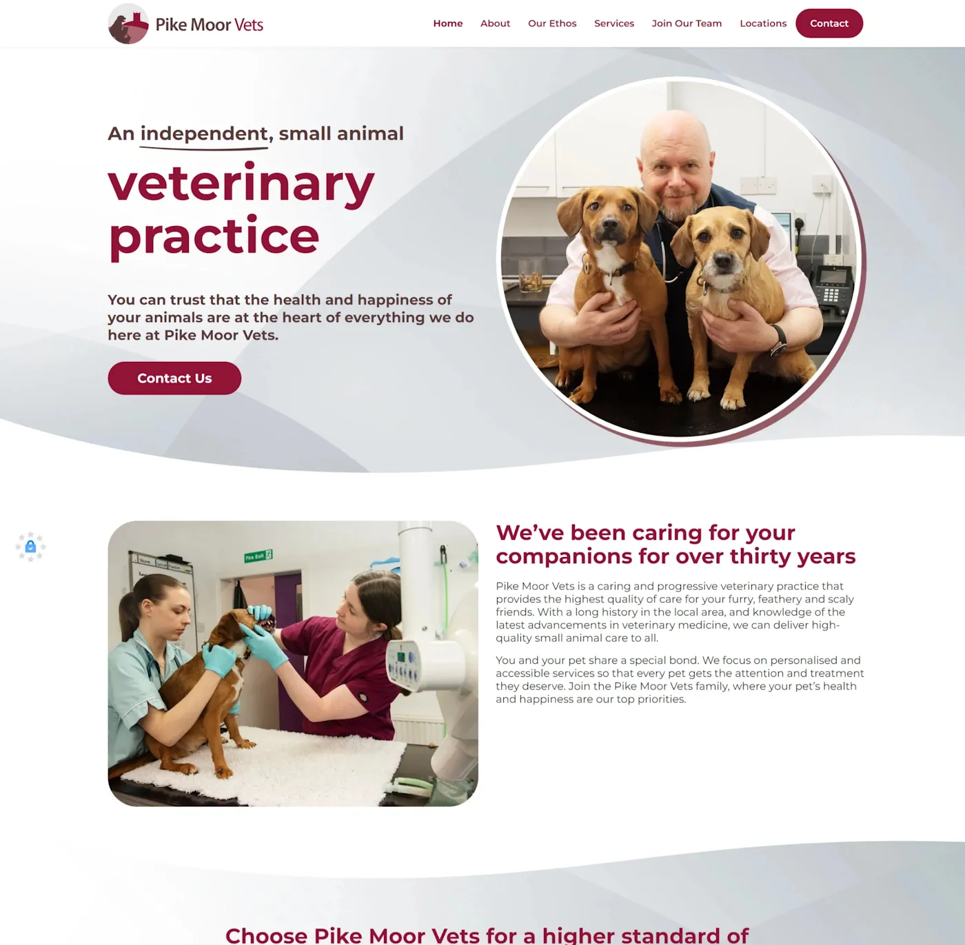 Website design in the UK for vets